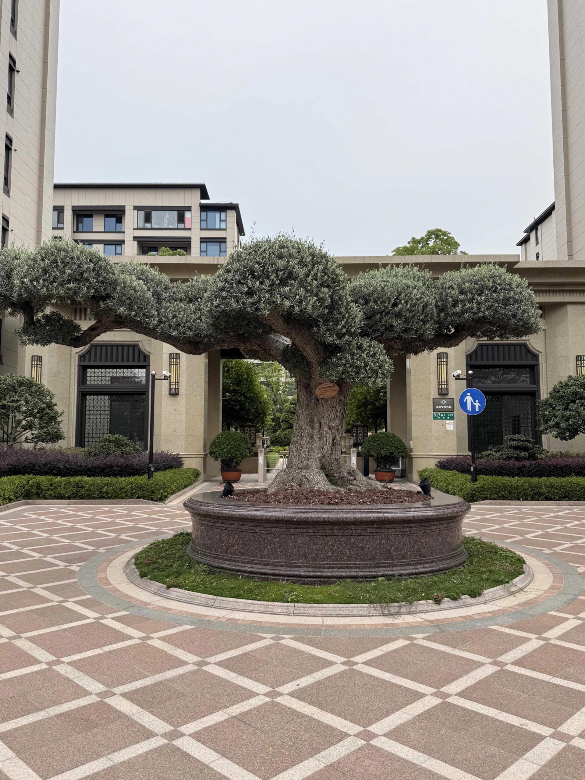 佳运名邸 实景图