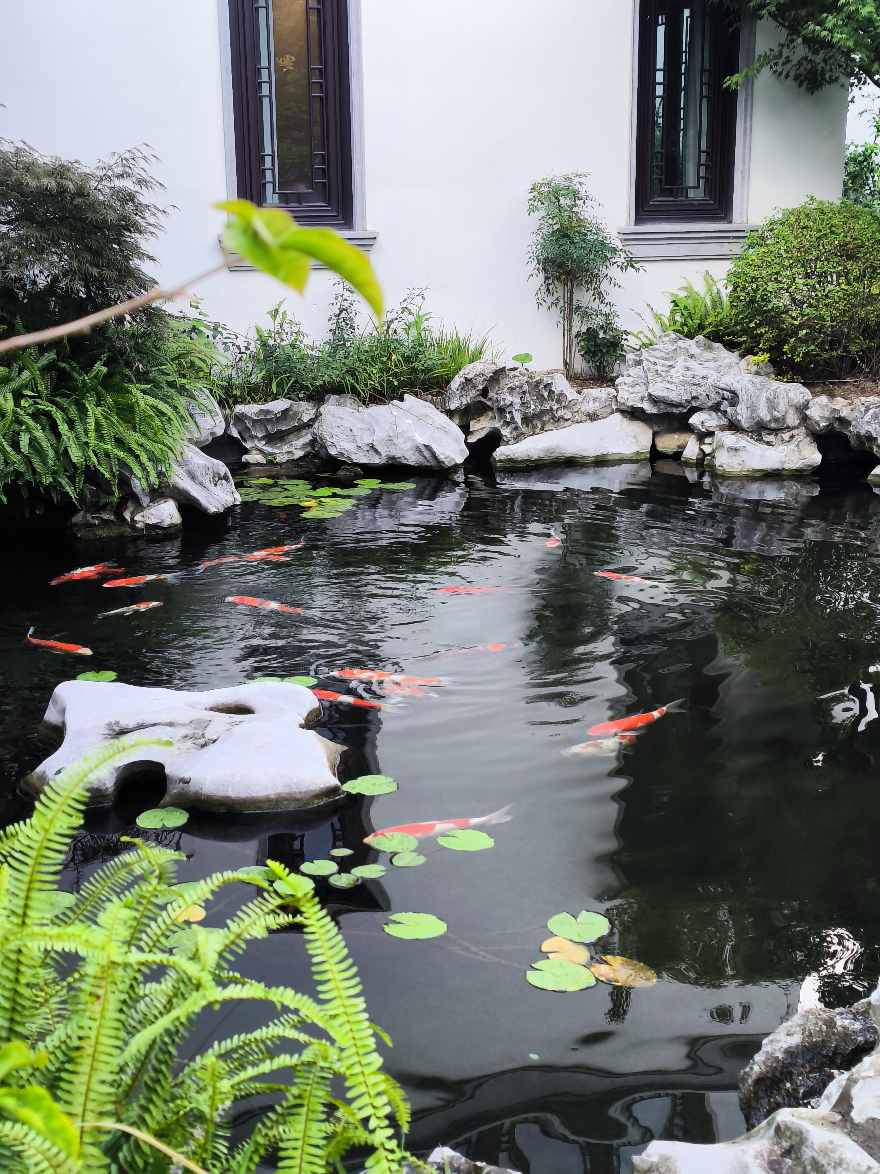 上海桃花源