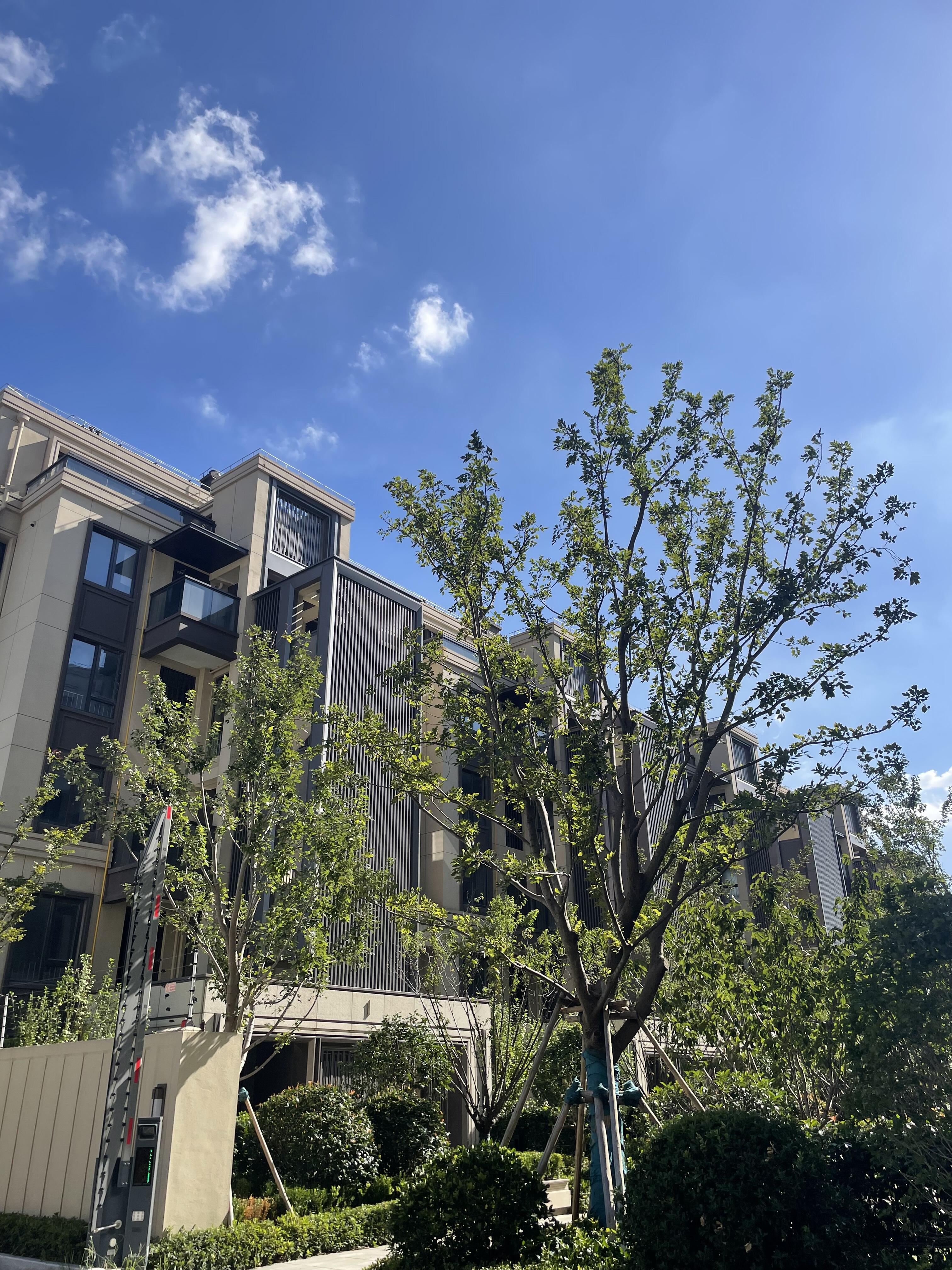 嘉定新城御花园叠墅 实景图